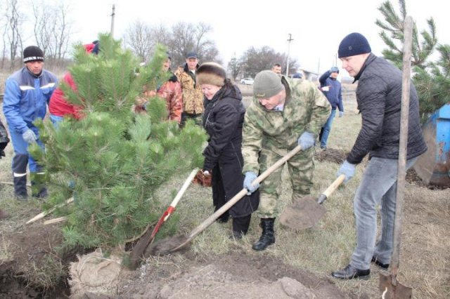 2019 год